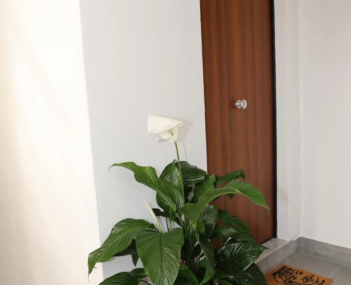 Home Antico Vicolo Katania